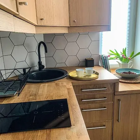 D 200m Do Plazy Apartment Zoppot